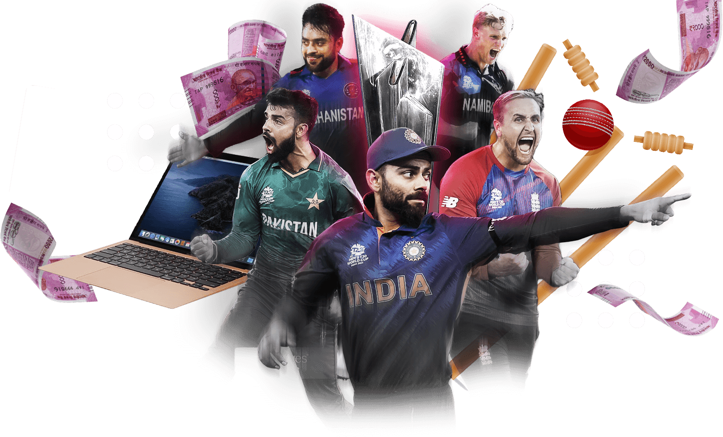 Banner Image